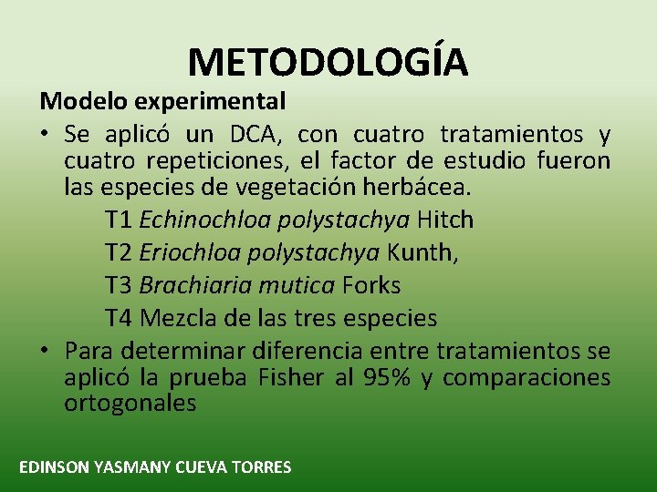 METODOLOGÍA Modelo experimental • Se aplicó un DCA, con cuatro tratamientos y cuatro repeticiones,