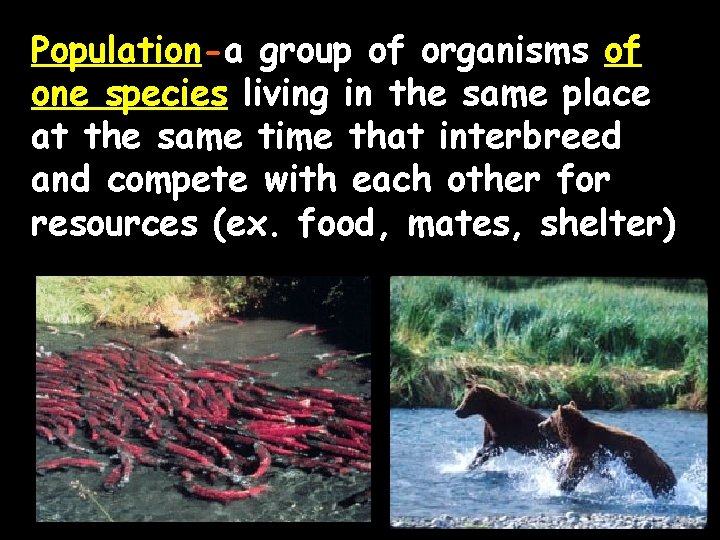 Population-a group of organisms of one species living in the same place at the