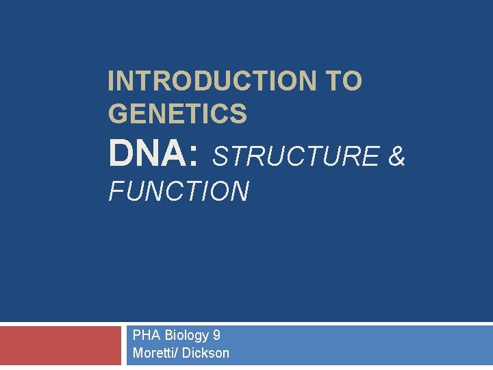 INTRODUCTION TO GENETICS DNA: STRUCTURE & FUNCTION PHA Biology 9 Moretti/ Dickson 