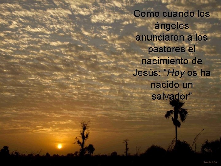 Como cuando los ángeles anunciaron a los pastores el nacimiento de Jesús: “Hoy os Como cuando los ángeles anunciaron a los pastores el nacimiento de Jesús: “Hoy os