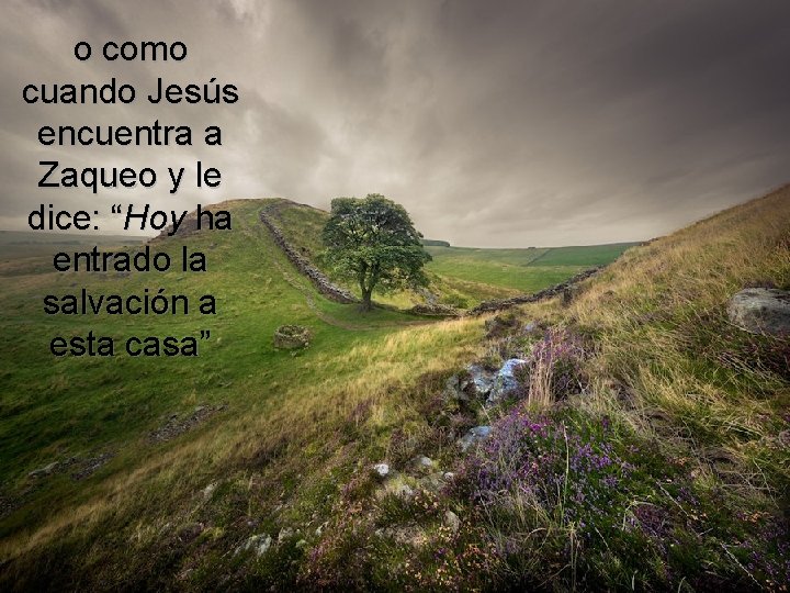 o como cuando Jesús encuentra a Zaqueo y le dice: “Hoy ha entrado la o como cuando Jesús encuentra a Zaqueo y le dice: “Hoy ha entrado la