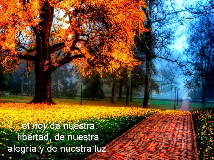 el hoy de nuestra libertad, de nuestra alegría y de nuestra luz. el hoy de nuestra libertad, de nuestra alegría y de nuestra luz.