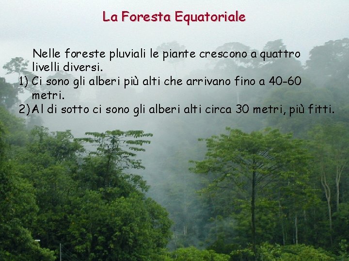 La Foresta Equatoriale Nelle foreste pluviali le piante crescono a quattro livelli diversi. 1)