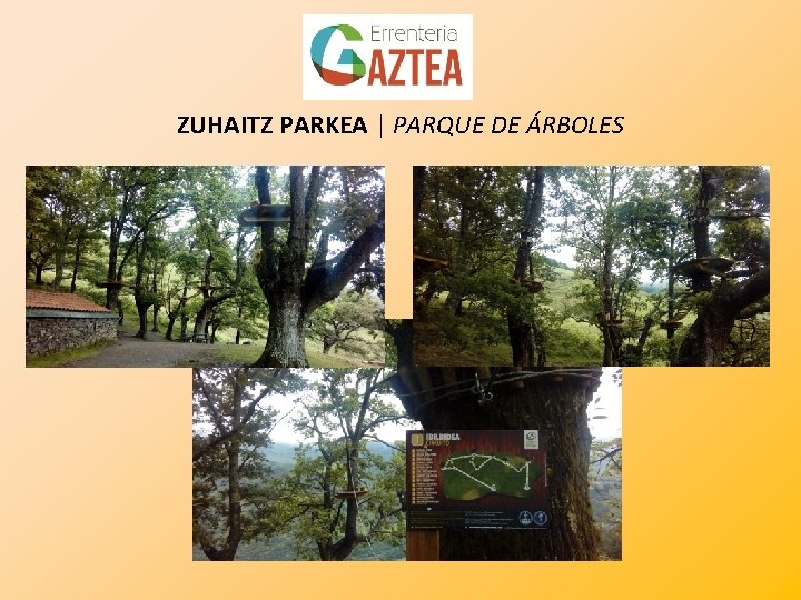 ZUHAITZ PARKEA | PARQUE DE ÁRBOLES 