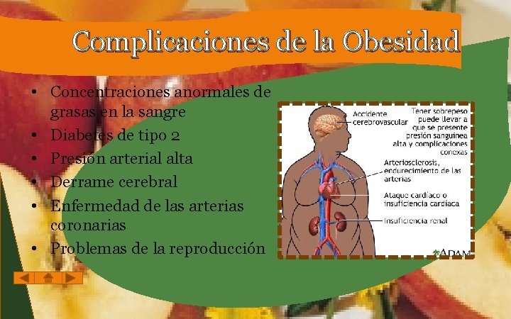 Complicaciones de la Obesidad • Concentraciones anormales de grasas en la sangre • Diabetes