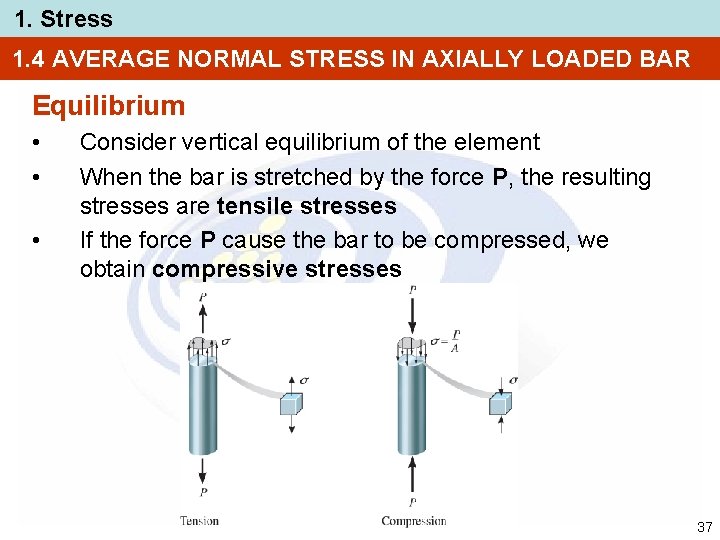 1. Stress 1. 4 AVERAGE NORMAL STRESS IN AXIALLY LOADED BAR Equilibrium • •