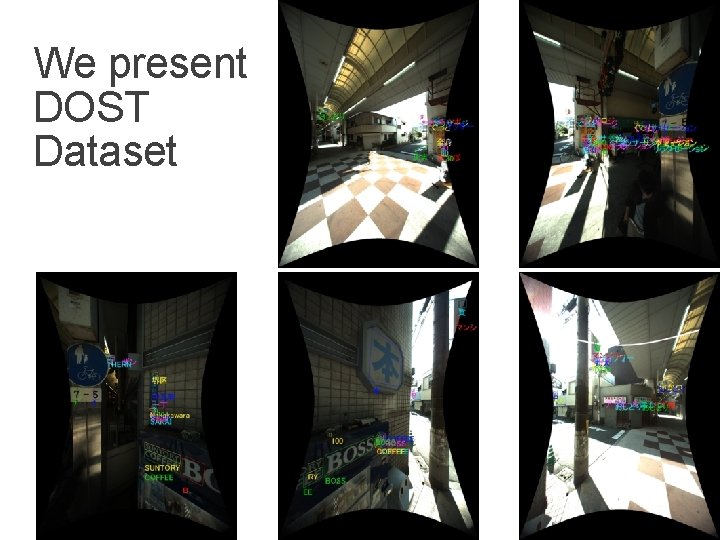 We present DOST Dataset 