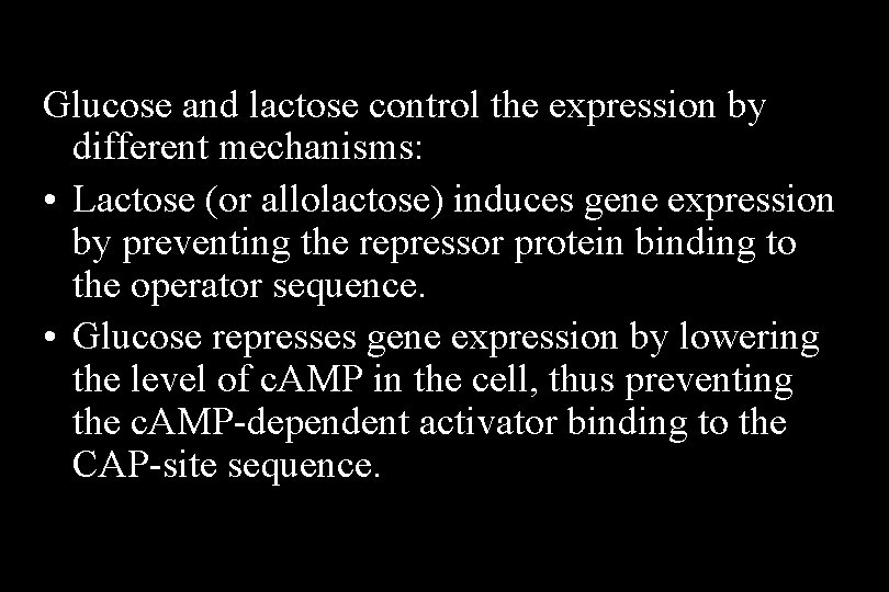 Glucose and lactose control the expression by different mechanisms: • Lactose (or allolactose) induces