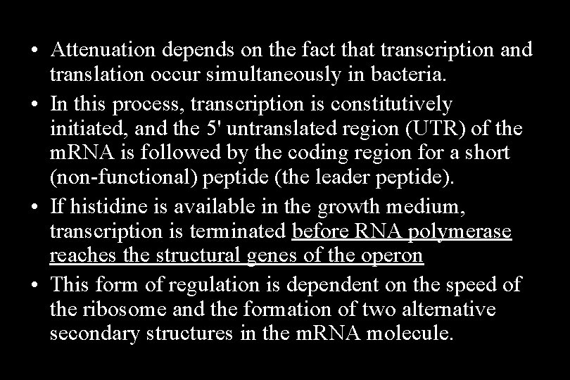  • Attenuation depends on the fact that transcription and translation occur simultaneously in