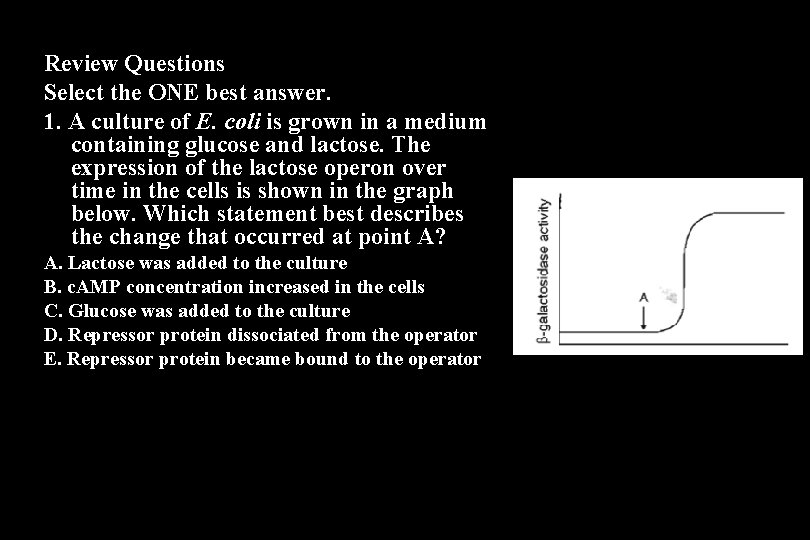 Review Questions Select the ONE best answer. 1. A culture of E. coli is