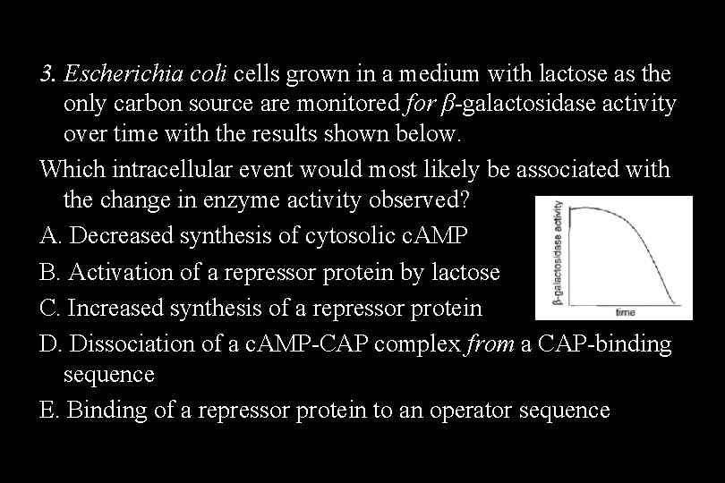 3. Escherichia coli cells grown in a medium with lactose as the only carbon