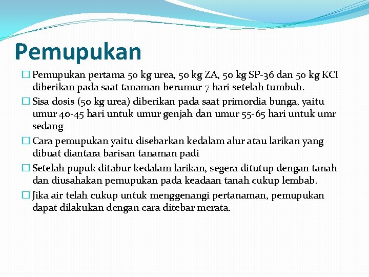 Pemupukan � Pemupukan pertama 50 kg urea, 50 kg ZA, 50 kg SP-36 dan