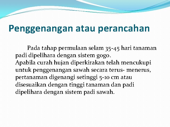 Penggenangan atau perancahan Pada tahap permulaan selam 35 -45 hari tanaman padi dipelihara dengan