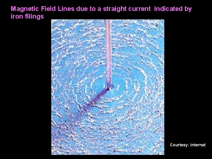 Magnetic Field Lines due to a straight current indicated by iron filings Courtesy: Internet