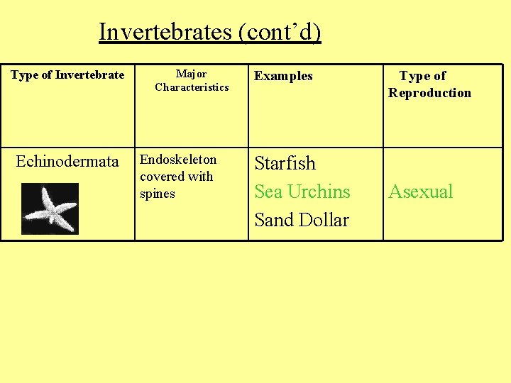 Invertebrates (cont’d) Type of Invertebrate Echinodermata Major Characteristics Endoskeleton covered with spines Examples Starfish