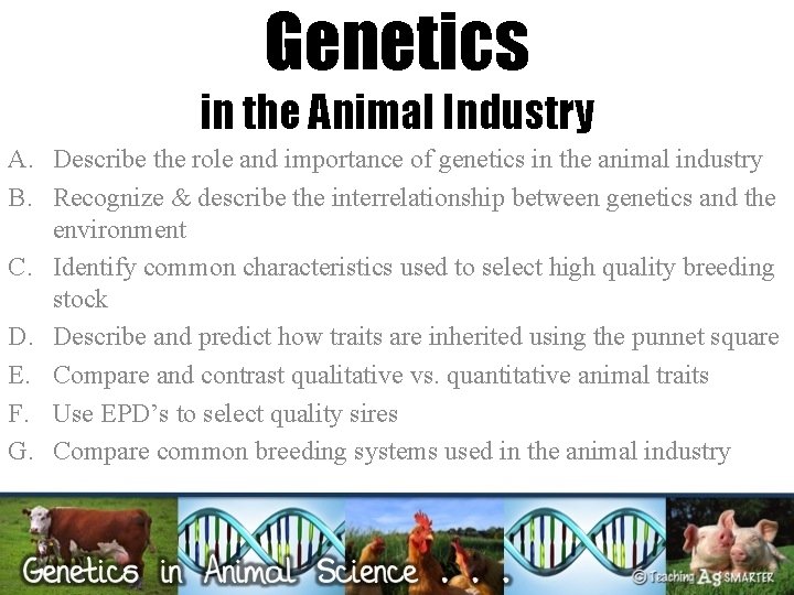 Genetics in the Animal Industry A. Describe the role and importance of genetics in