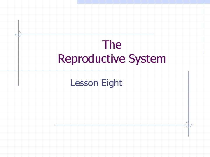The Reproductive System Lesson Eight 