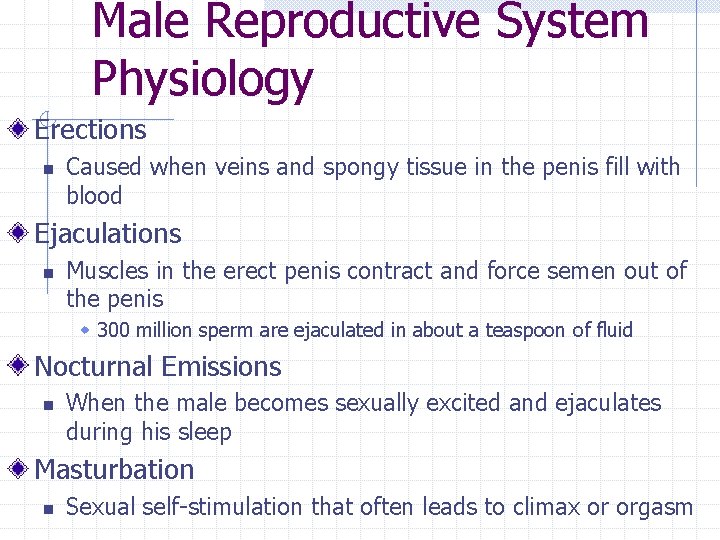Male Reproductive System Physiology Erections n Caused when veins and spongy tissue in the