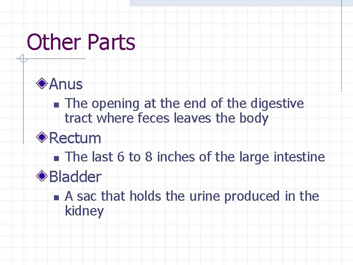 Other Parts Anus n The opening at the end of the digestive tract where