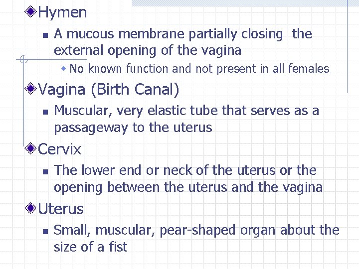 Hymen n A mucous membrane partially closing the external opening of the vagina w