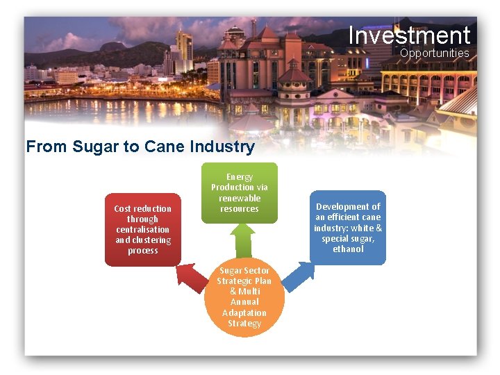 Investment Opportunities From Sugar to Cane Industry Cost reduction through centralisation and clustering process Investment Opportunities From Sugar to Cane Industry Cost reduction through centralisation and clustering process