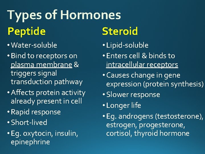 Types of Hormones Peptide Steroid • Water-soluble • Bind to receptors on plasma membrane