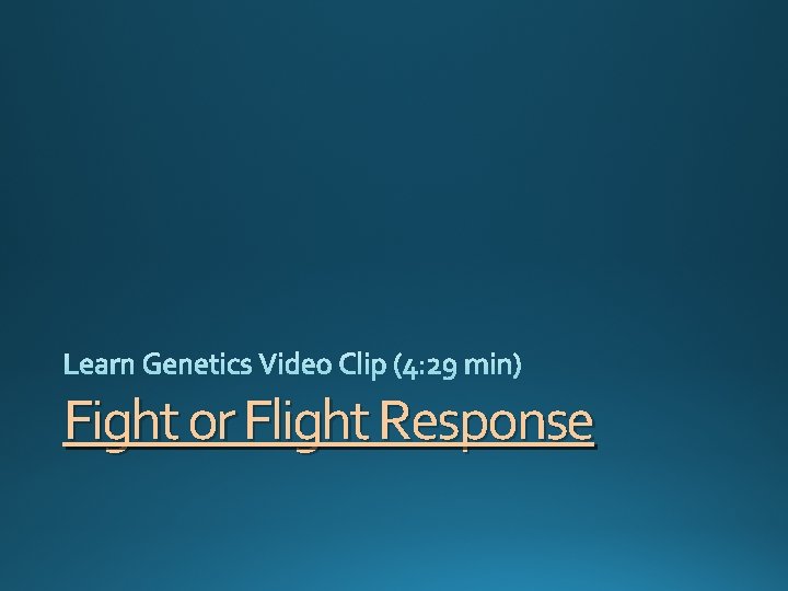 Fight or Flight Response 