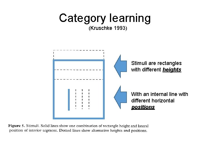 Category learning (Kruschke 1993) Stimuli are rectangles with different heights With an internal line
