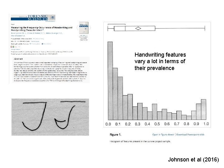 Handwriting features vary a lot in terms of their prevalence Johnson et al (2016)
