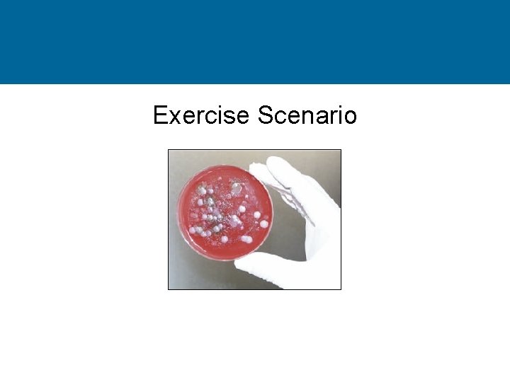 Exercise Scenario 