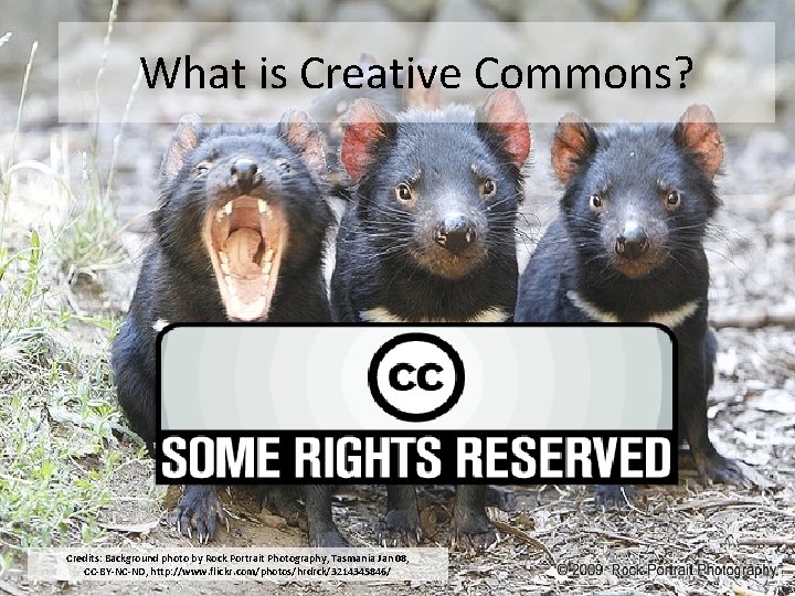 What is Creative Commons? Credits: Background photo by Rock Portrait Photography, Tasmania Jan 08,