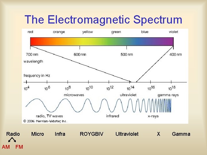 The Electromagnetic Spectrum Radio AM FM Micro Infra ROYGBIV Ultraviolet X Gamma 