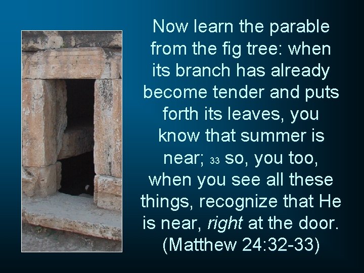 Now learn the parable from the fig tree: when its branch has already become