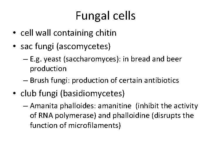 Fungal cells • cell wall containing chitin • sac fungi (ascomycetes) – E. g.