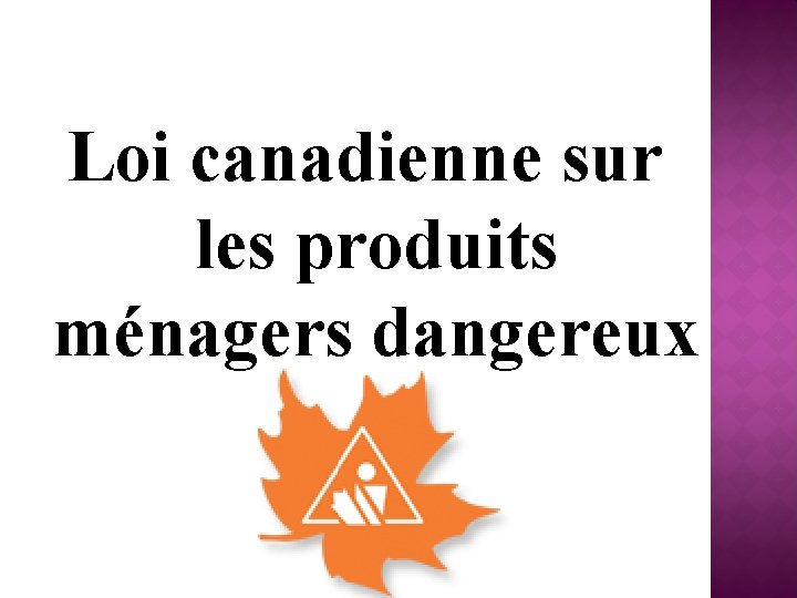 Loi canadienne sur les produits ménagers dangereux 
