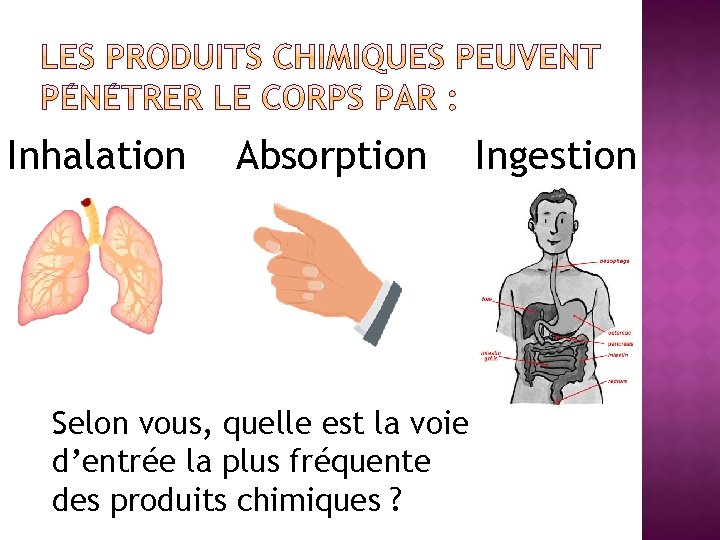 Inhalation Absorption Selon vous, quelle est la voie d’entrée la plus fréquente des produits