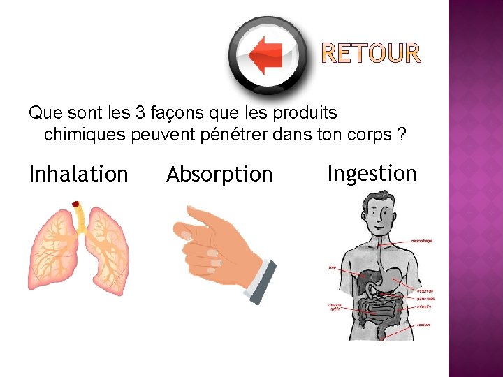 Que sont les 3 façons que les produits chimiques peuvent pénétrer dans ton corps