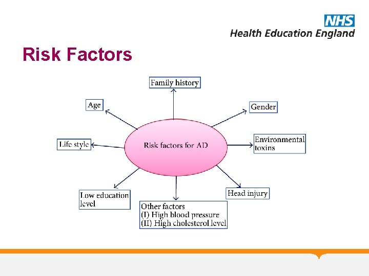 Risk Factors Risk Factors