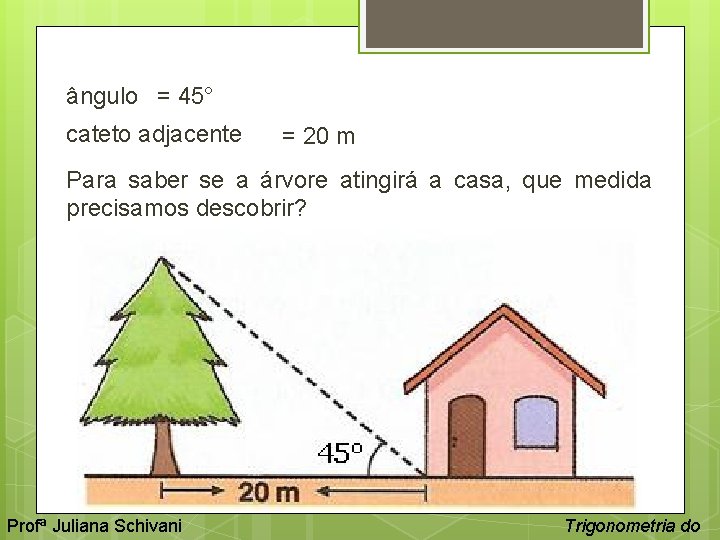 ângulo = 45° cateto adjacente = 20 m Para saber se a árvore atingirá