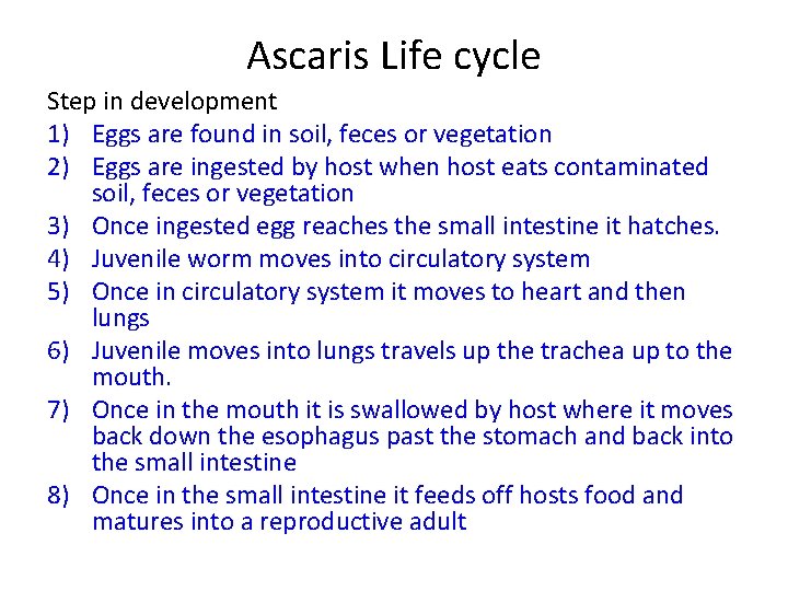 Ascaris Life cycle Step in development 1) Eggs are found in soil, feces or