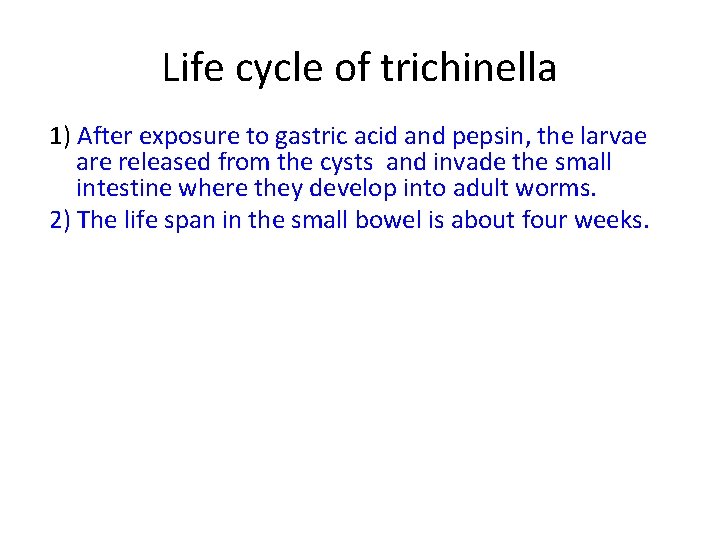 Life cycle of trichinella 1) After exposure to gastric acid and pepsin, the larvae