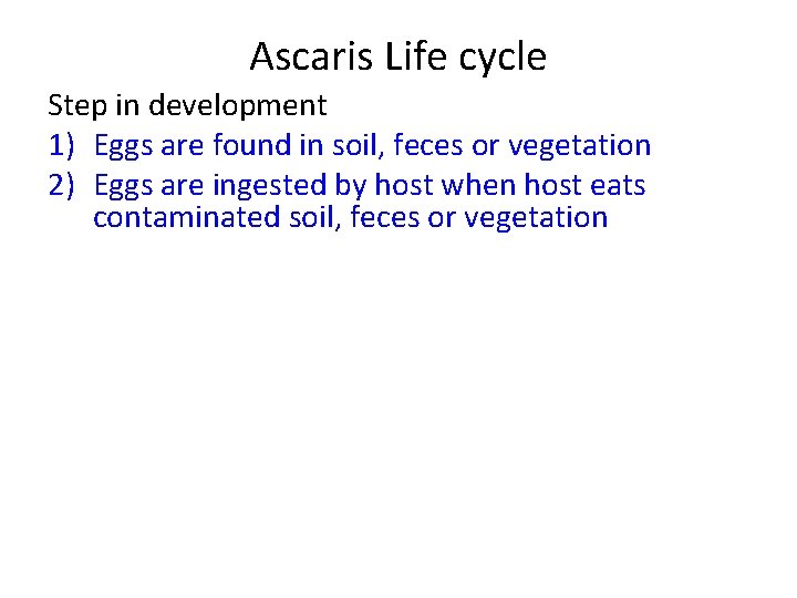 Ascaris Life cycle Step in development 1) Eggs are found in soil, feces or