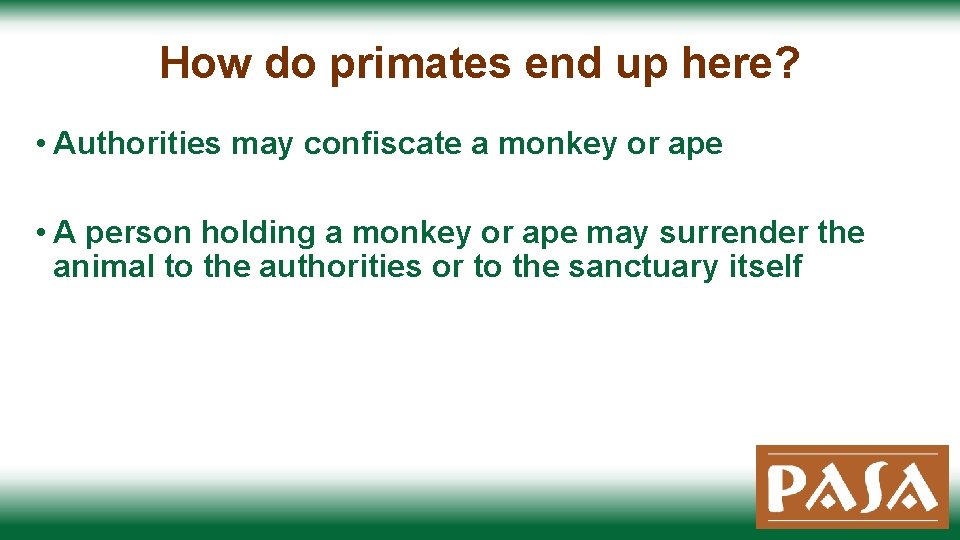 How do primates end up here? • Authorities may confiscate a monkey or ape