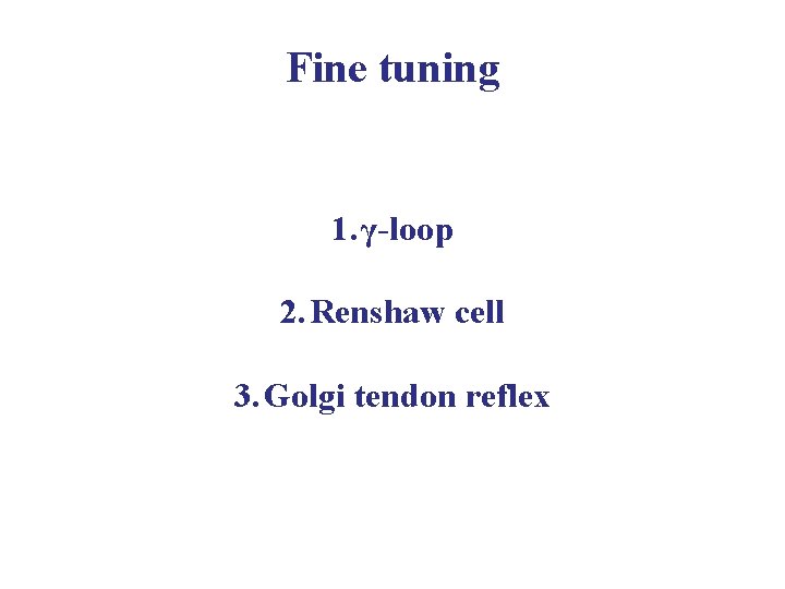 Fine tuning 1. γ-loop 2. Renshaw cell 3. Golgi tendon reflex 