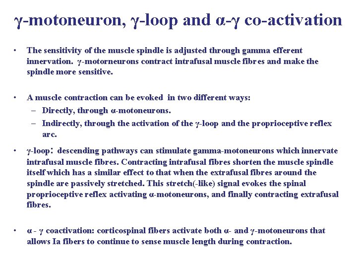 γ-motoneuron, γ-loop and α-γ co-activation • The sensitivity of the muscle spindle is adjusted