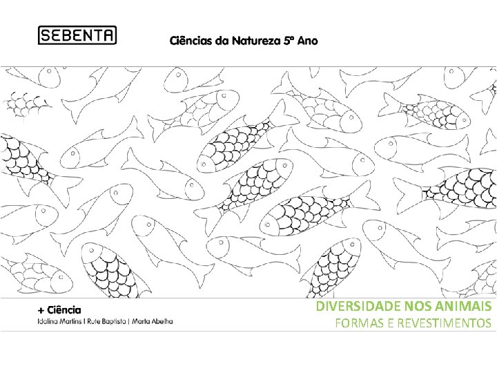 DIVERSIDADE NOS ANIMAIS FORMAS E REVESTIMENTOS 