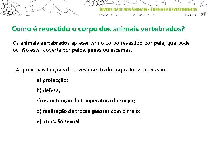 Como é revestido o corpo dos animais vertebrados? Os animais vertebrados apresentam o corpo