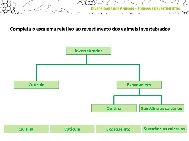 Completa o esquema relativo ao revestimento dos animais invertebrados. Invertebrados Cutícula Exosqueleto Quitina Cutícula