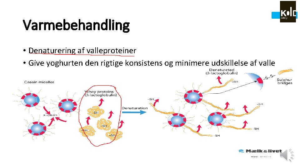 Varmebehandling • Denaturering af valleproteiner • Give yoghurten den rigtige konsistens og minimere udskillelse