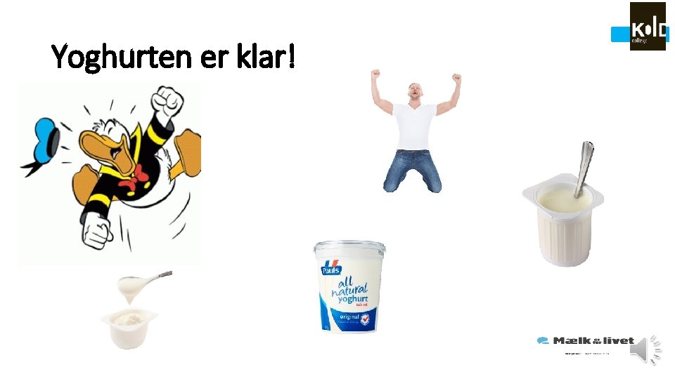 Yoghurten er klar! 